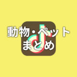 【TikTok】動物・ペットまとめ