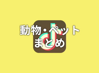 【TikTok】動物・ペットまとめ