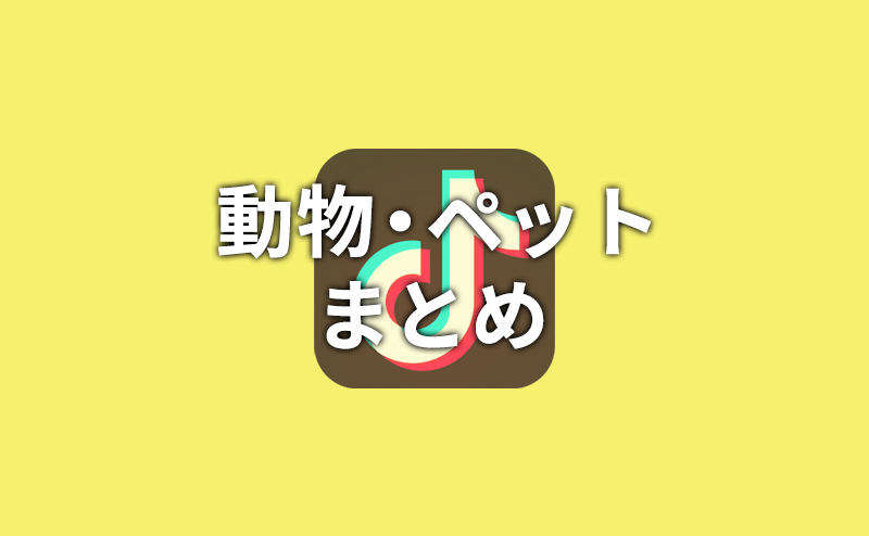 【TikTok】動物・ペットまとめ