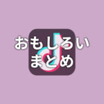 【TikTok】面白いまとめ