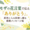 ミモザの花言葉で伝える「ありがとう」。産休に入る同僚へ贈る感動メッセージ術