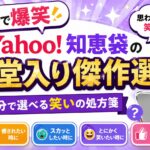 【5分で爆笑】Yahoo!知恵袋の殿堂入り傑作選｜気分で選べる笑いの処方箋