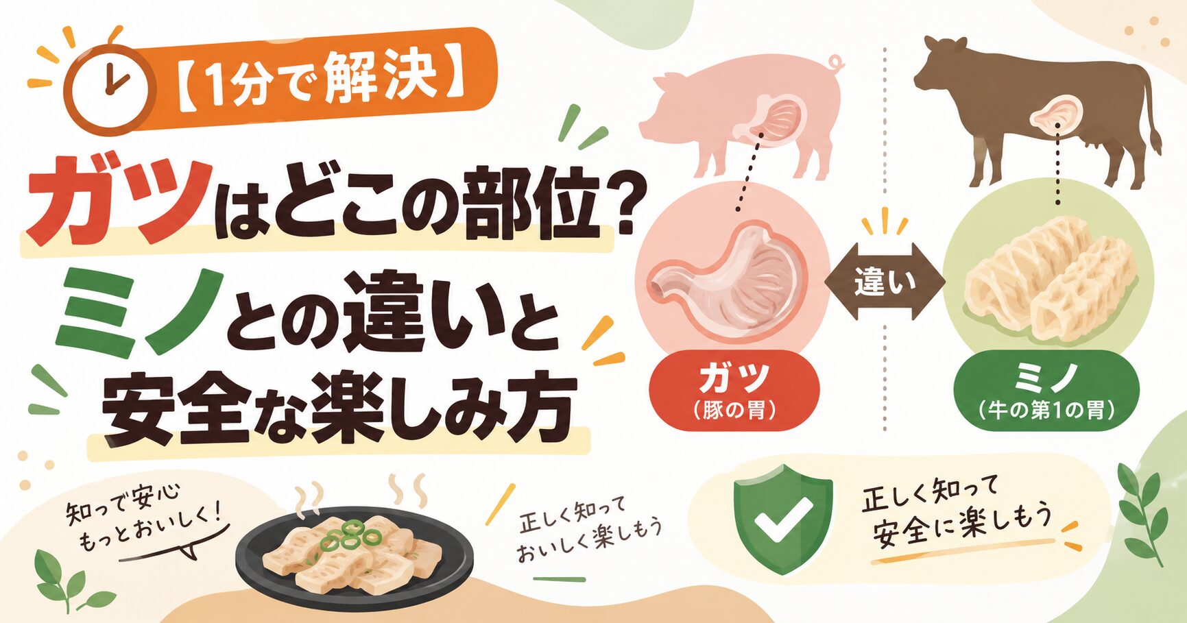 【1分で解決】ガツはどこの部位？ミノとの違いと安全な楽しみ方