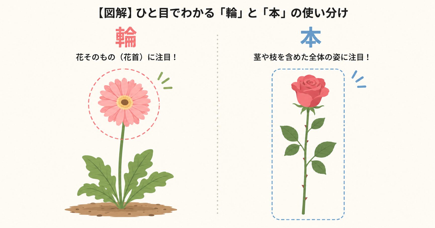 花の数え方におけるエンティティ「輪」と「本」の中核的な対比関係を示す図解。左側には、花首に注目する「輪」の例として地面に咲くガーベラのイラストが、右側には、茎まで含めた全体の姿を示す「本」の例として一本のバラのイラストが描かれている。