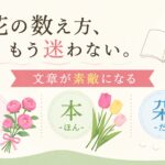 花の数え方、もう迷わない。文章が素敵になる「輪・本・朶」の使い分け