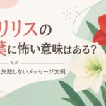 アマリリスの花言葉に怖い意味はある？色別の選び方と失敗しないメッセージ文例