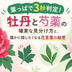 葉っぱで3秒判定！牡丹と芍薬の確実な見分け方と、誰かに話したくなる花言葉の秘密