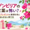 ブーゲンビリアの花言葉は怖い？両親へのプレゼントに最適な色と枯らさない育て方