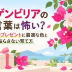 ブーゲンビリアの花言葉は怖い？両親へのプレゼントに最適な色と枯らさない育て方