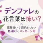 デンファレの花言葉は怖い？退職祝いで誤解されない色選びとメッセージ術