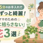 週1回・5分のお手入れで半年間ずっと綺麗！忙しいママのための「絶対に枯らさない」花3選