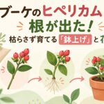 ブーケのヒペリカムから根が出た！枯らさず育てる「鉢上げ」と花言葉