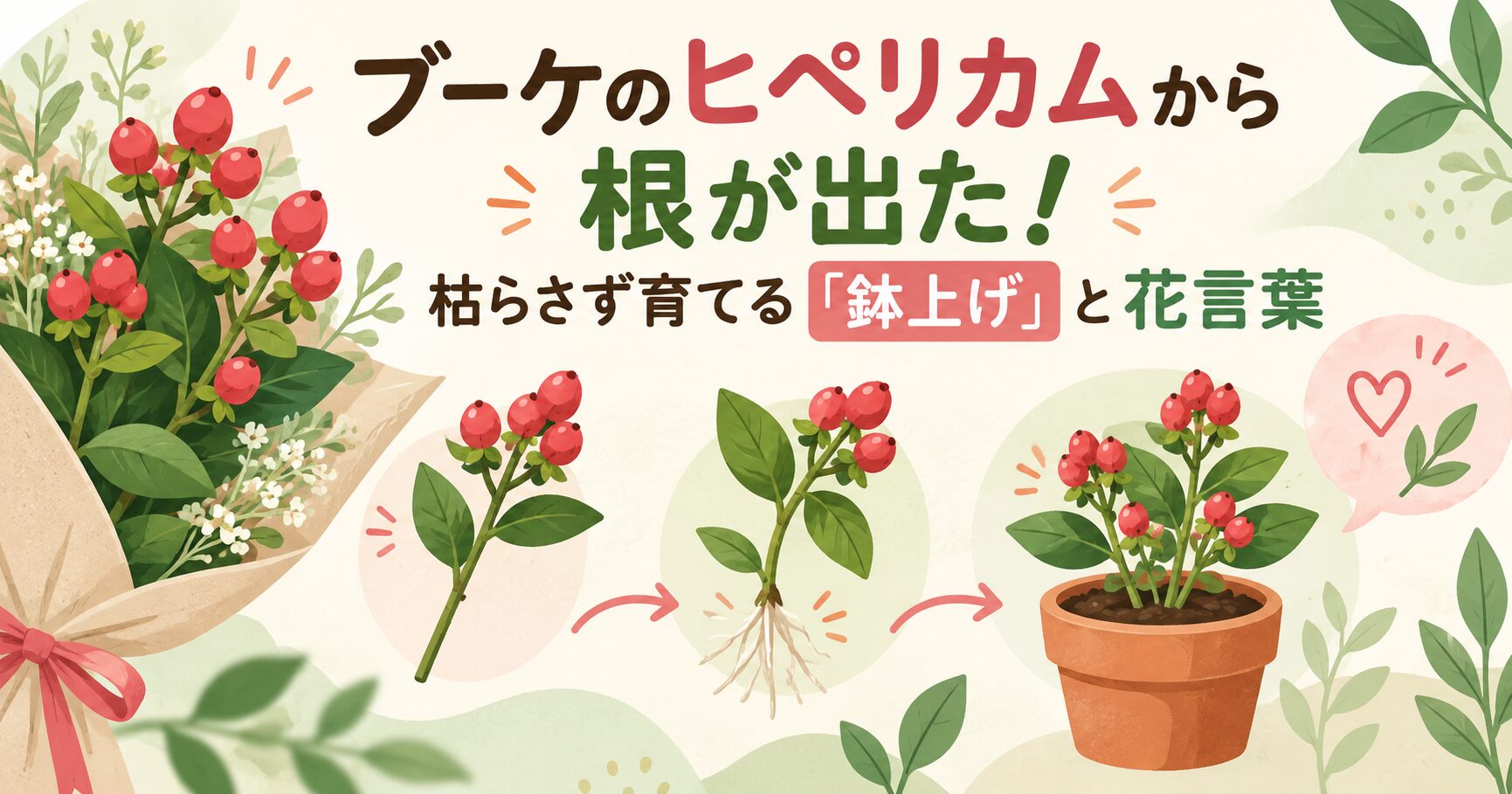 ブーケのヒペリカムから根が出た！枯らさず育てる「鉢上げ」と花言葉