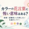 カラーの花言葉に怖い意味はある？結婚・退職祝いに失敗しない色選びとマナー