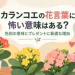 カランコエの花言葉に怖い意味はある？色別の意味とプレゼントに最適な理由