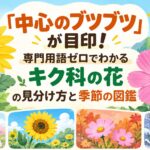 「中心のブツブツ」が目印！専門用語ゼロでわかるキク科の花の見分け方と季節の図鑑