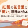 紅葉の花言葉に「怖い」意味はゼロ！退職祝いに贈るメッセージ文例とギフト選び