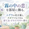 「霧の中の恋」を部屋に飾る。ニゲラの花言葉と、ズボラでもできる育て方・ドライフラワー作り