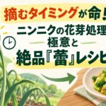 摘むタイミングが命！ニンニクの花芽処理の極意と絶品「蕾」レシピ
