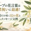 オリーブの花言葉は開業祝いに最適！1週間だけ咲く幻の花と贈るメッセージ文例