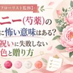 【フローリスト監修】ピオニー(芍薬)の花言葉に怖い意味はある？結婚祝いに失敗しない色と贈り方