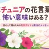 ペチュニアの花言葉に怖い意味はある？安心して贈るための色別ガイドと魔法のメッセージ
