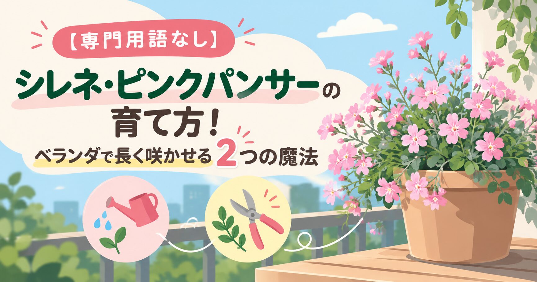 【専門用語なし】シレネ・ピンクパンサーの育て方！ベランダで長く咲かせる2つの魔法