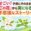 ママすごい！子供にそのまま話せる「りんごの花」から実になるまでの不思議なストーリー