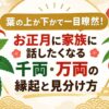 葉の上か下かで一目瞭然！お正月に家族に話したくなる千両・万両の縁起と見分け方