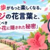 春の散歩がもっと楽しくなる。ツツジの花言葉と、知っておくべき『美しい花に隠された秘密』